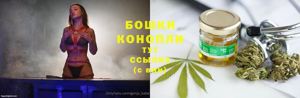 прущие крисы Беломорск