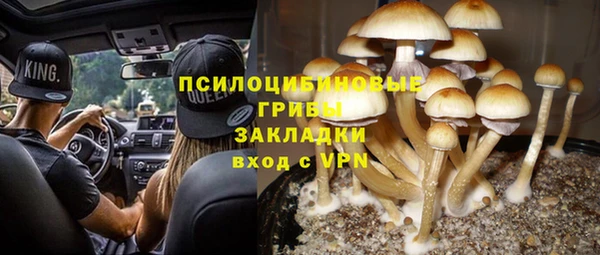 мескалин Белокуриха