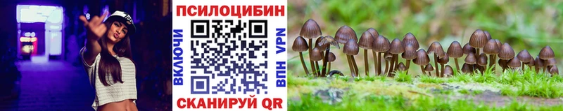 Псилоцибиновые грибы Cubensis  купить наркоту  Кстово 